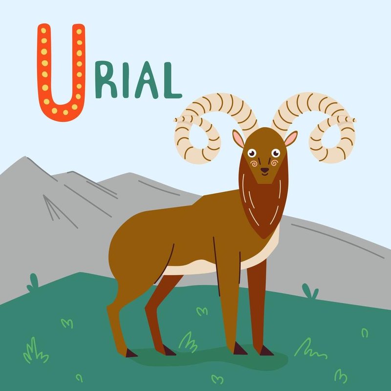 How The Urial Is Represented In Culture And Folklore