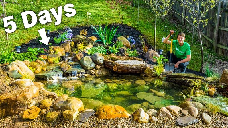 How To Build A Natural Eco-Friendly Fish Pond