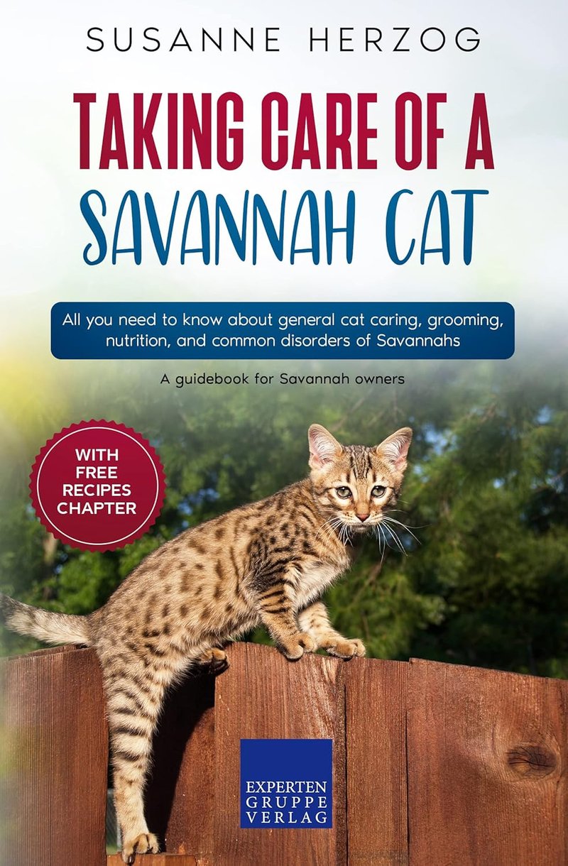 How To Care For A Savannah Cat: Grooming, Feeding, And Environment