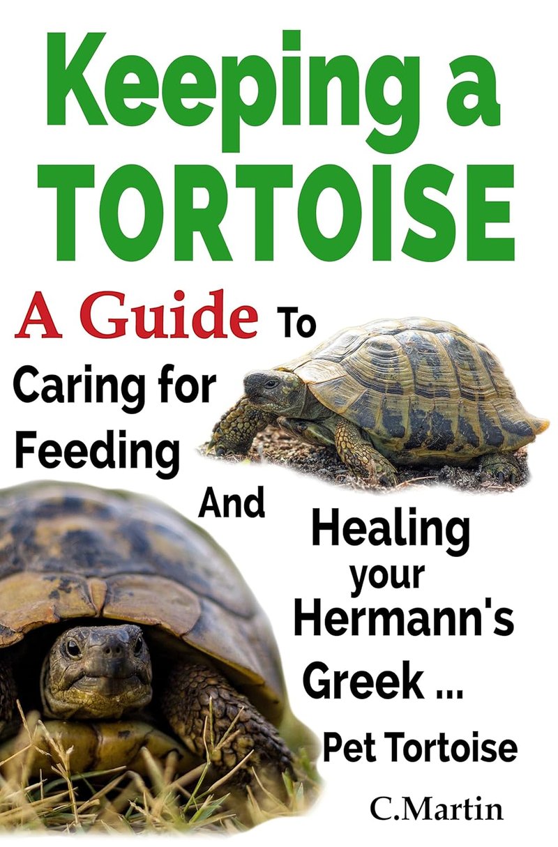 How To Keep The Hermann'S Tortoise Healthy: Common Issues & Prevention