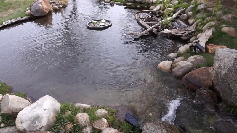 How To Raise Trout In A Backyard Pond