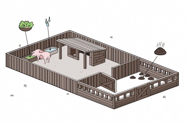 How To Set Up A Pig Pen And Shelter