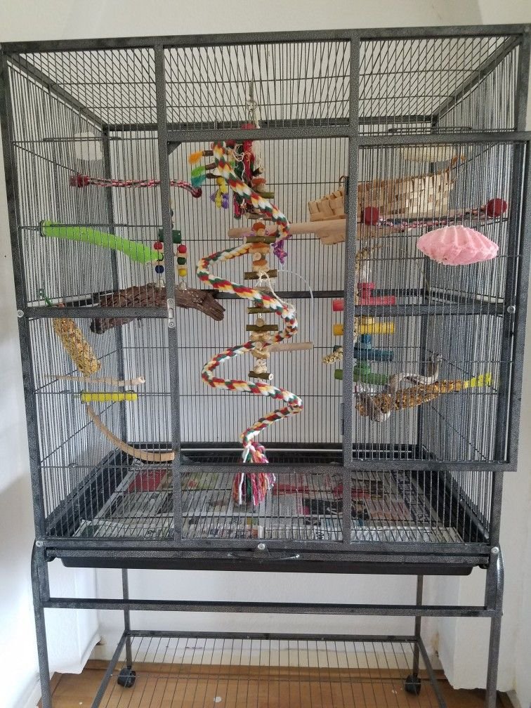 How To Set Up The Perfect Budgie Cage