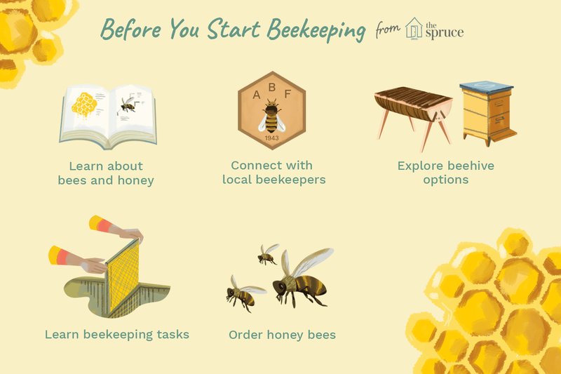 How To Start Beekeeping At Home (Beginner Guide)