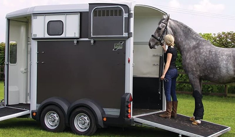 How To Transport A Horse Safely And Legally