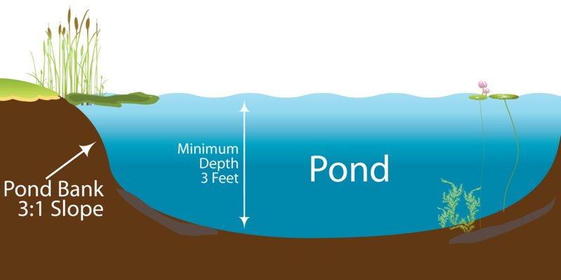 Ideal Pond Conditions For Salmon: Temperature, Depth, And Filtration