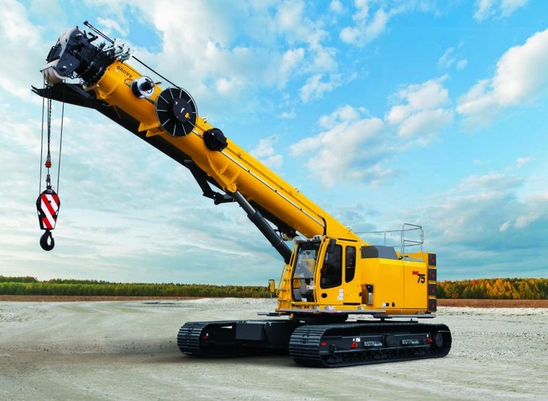 Is The Crane Threatened Or Endangered?