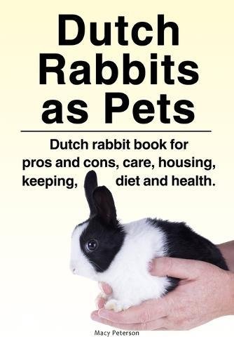 Is The Dutch Rabbit A Good Pet? Pros And Cons Explained