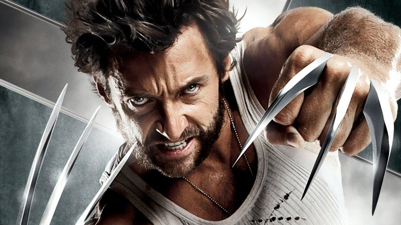Is The Wolverine Endangered? Global Conservation Insights