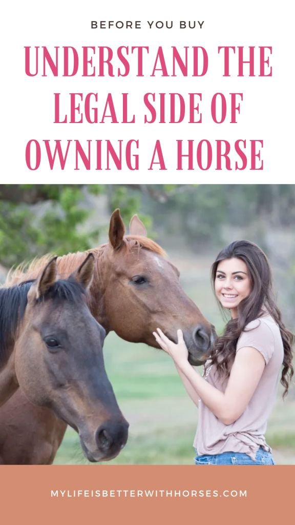 Legal Considerations: Owning And Keeping Horses In The Us/Uk