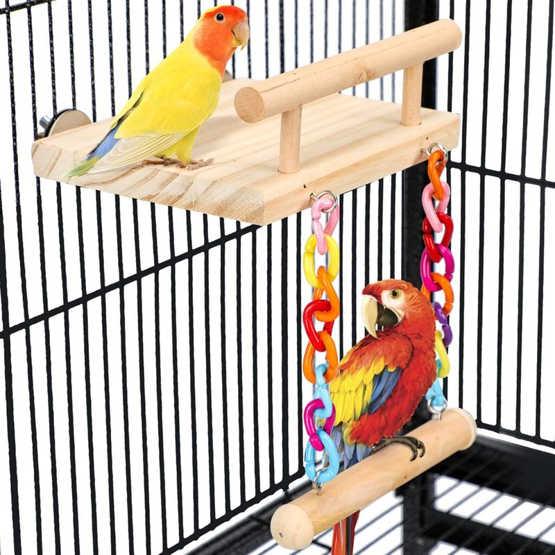 Macaw Cage Setup: Size, Perches, Toys, And Accessories