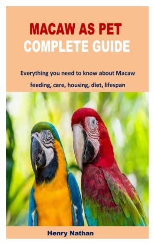 Macaw Care Guide: Everything You Need To Know