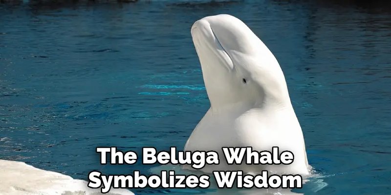 Myths And Cultural Beliefs About The Beluga Whale