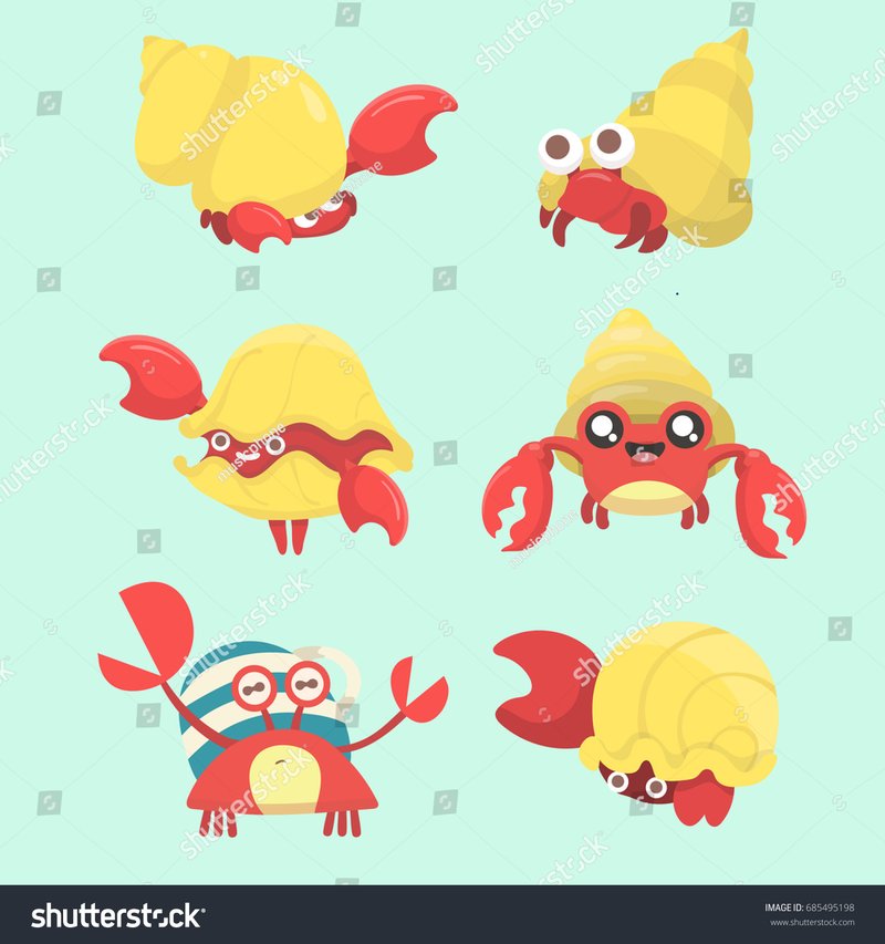 Myths And Cultural Beliefs About The Hermit Crab