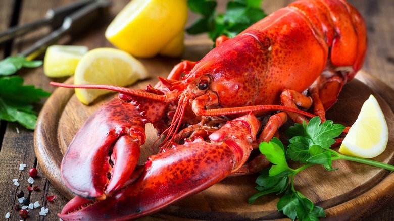 Myths And Cultural Beliefs About The Lobster