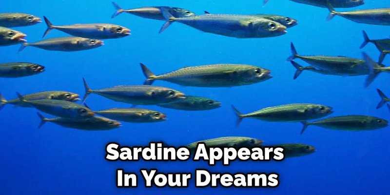 Myths And Cultural Beliefs About The Sardine