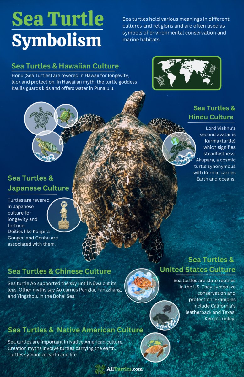 Myths And Cultural Beliefs About The Sea Turtle