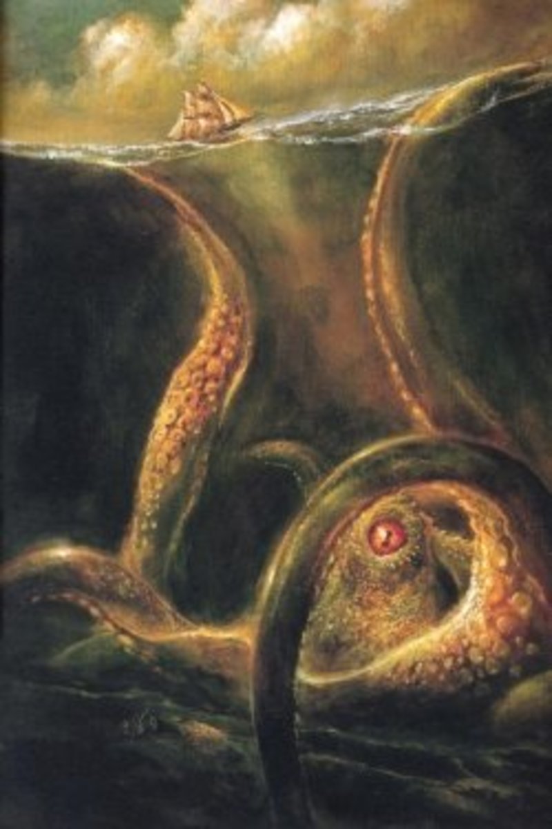 Myths And Cultural Beliefs About The Squid