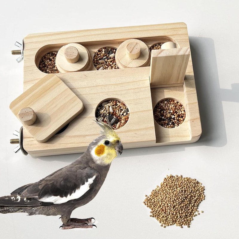 Parrot Enrichment: Top Toys And Mental Stimulation Ideas