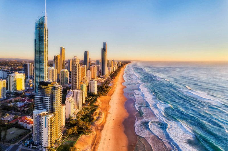 Queensland Fruit Fly