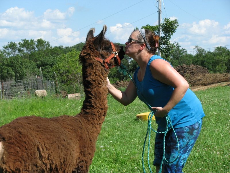 Shearing A Llama: When And How To Do It