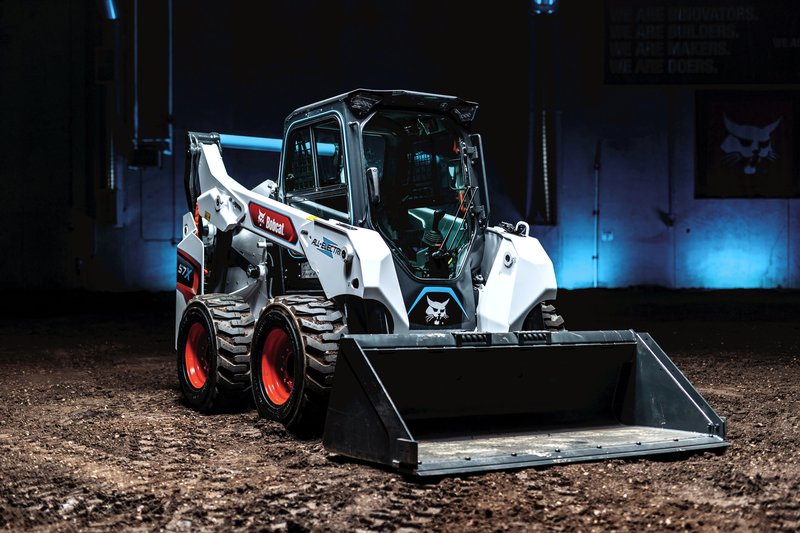 The Bobcat'S Role In Its Ecosystem