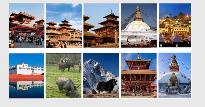 The Cultural Symbolism Of The Dung Beetle