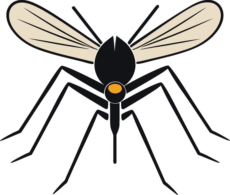 The Cultural Symbolism Of The Mosquito