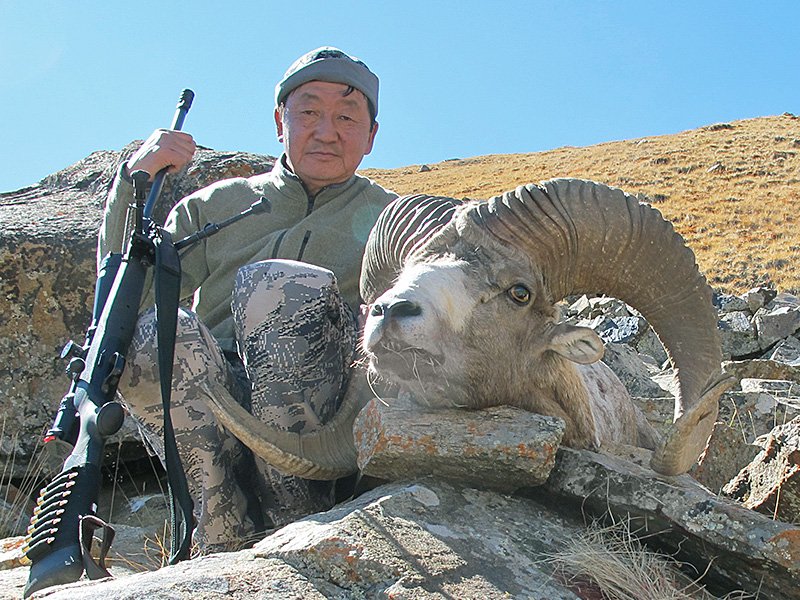 The Diet And Hunting Strategies Of The Argali