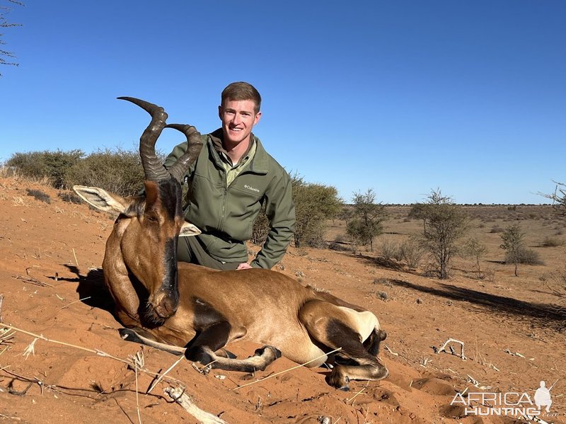 The Diet And Hunting Strategies Of The Hartebeest