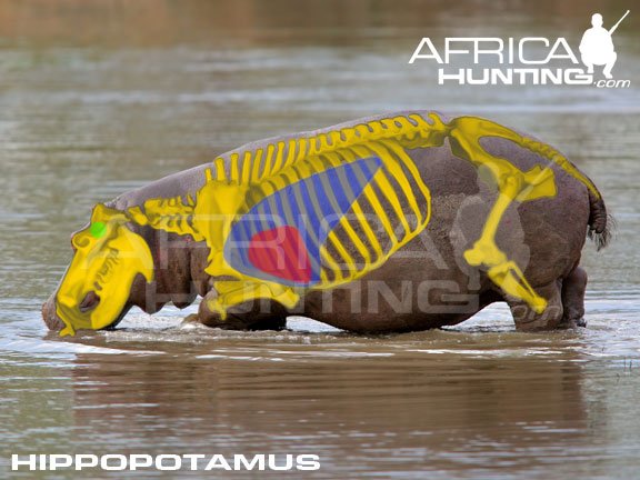 The Diet And Hunting Strategies Of The Hippopotamus