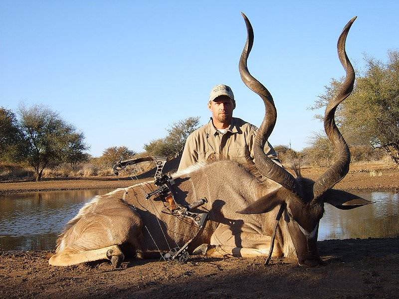The Diet And Hunting Strategies Of The Kudu