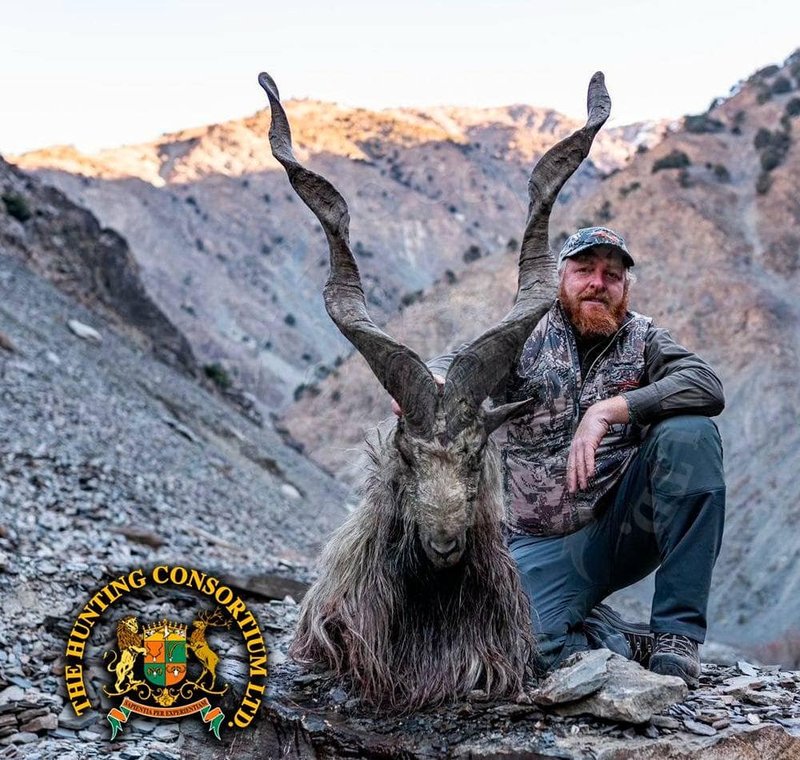 The Diet And Hunting Strategies Of The Markhor