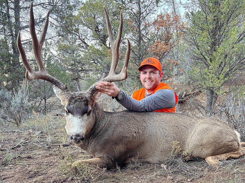 The Diet And Hunting Strategies Of The Mule Deer