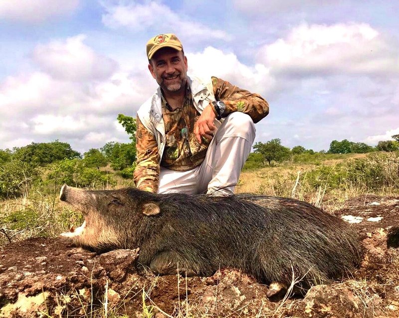 The Diet And Hunting Strategies Of The Peccary