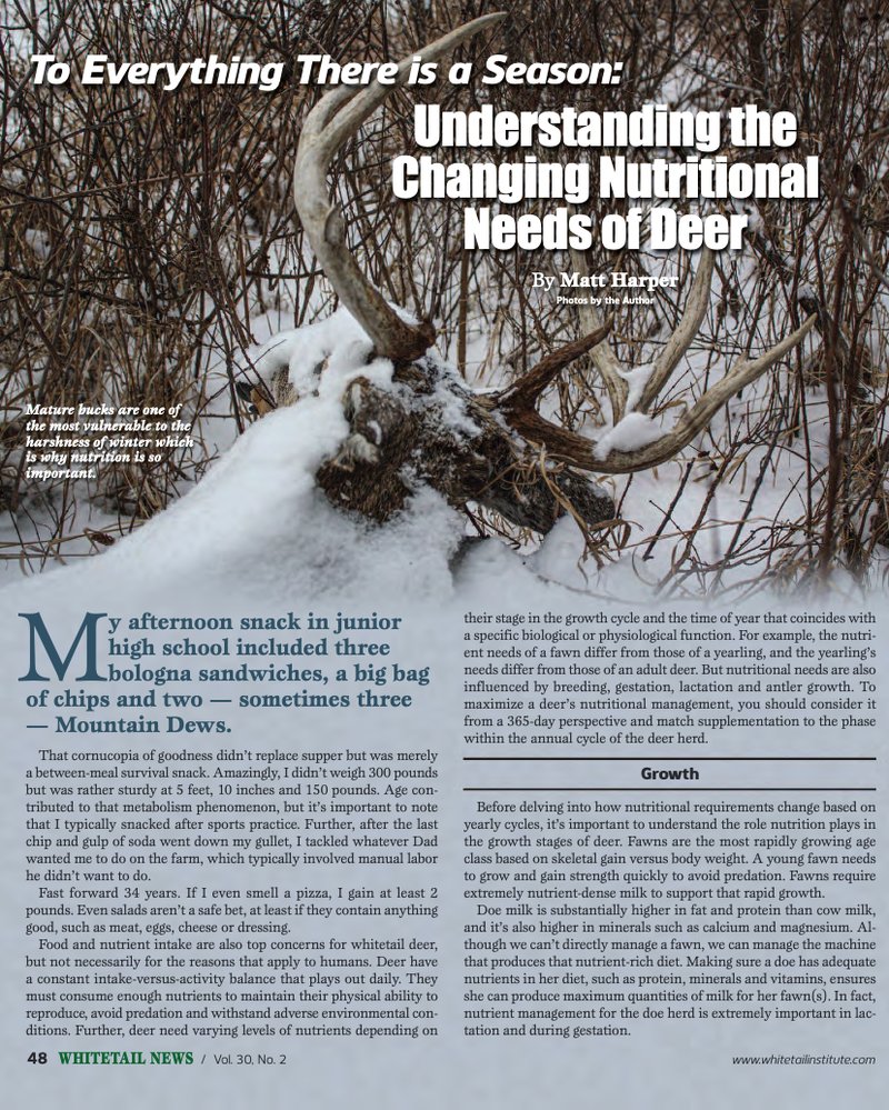 The Diet And Hunting Strategies Of The Puma