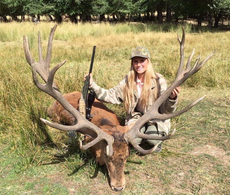 The Diet And Hunting Strategies Of The Stag