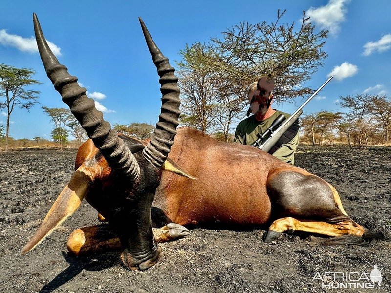 The Diet And Hunting Strategies Of The Topi
