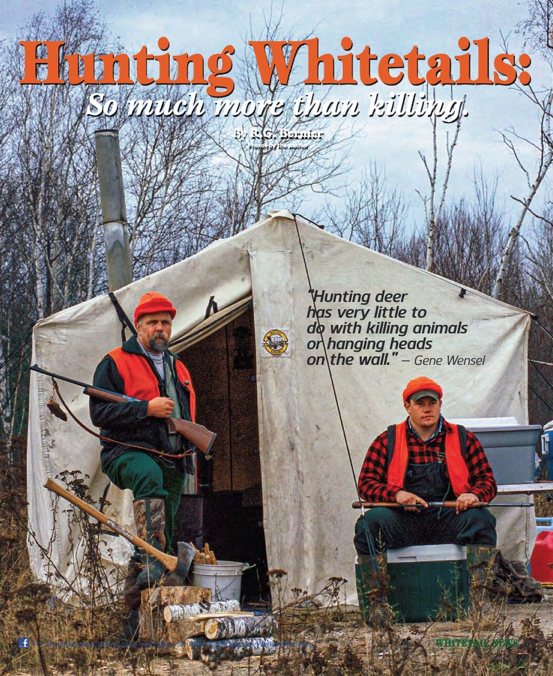 The Diet And Hunting Strategies Of The Vulture