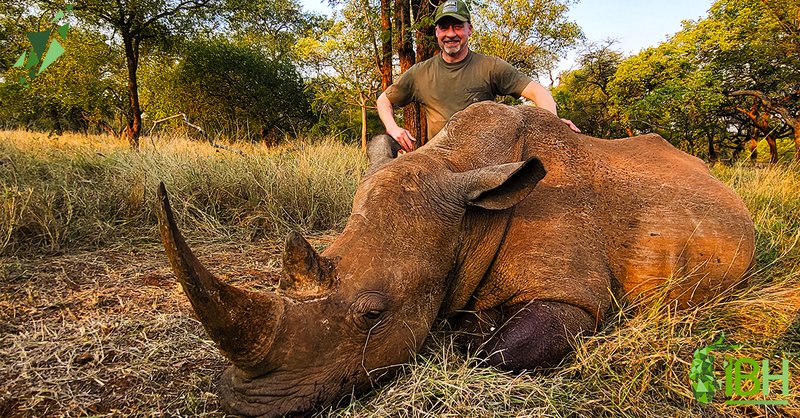 The Diet And Hunting Strategies Of The White Rhinoceros