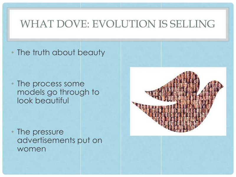 The Evolution And History Of The Dove