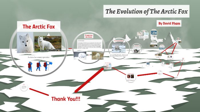 The Evolutionary History Of The Arctic Fox