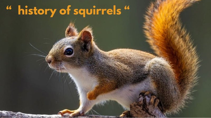 The Evolutionary History Of The Ground Squirrel