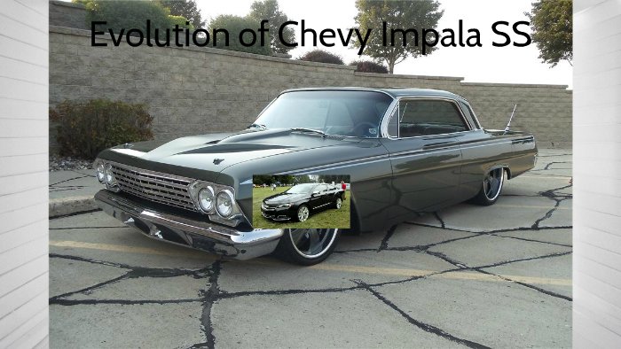 The Evolutionary History Of The Impala
