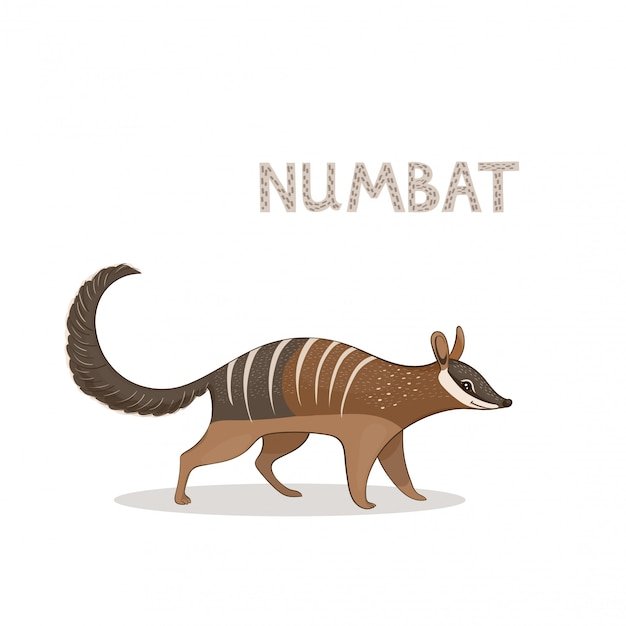 The Evolutionary History Of The Numbat