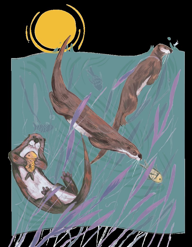 The Evolutionary History Of The Otter