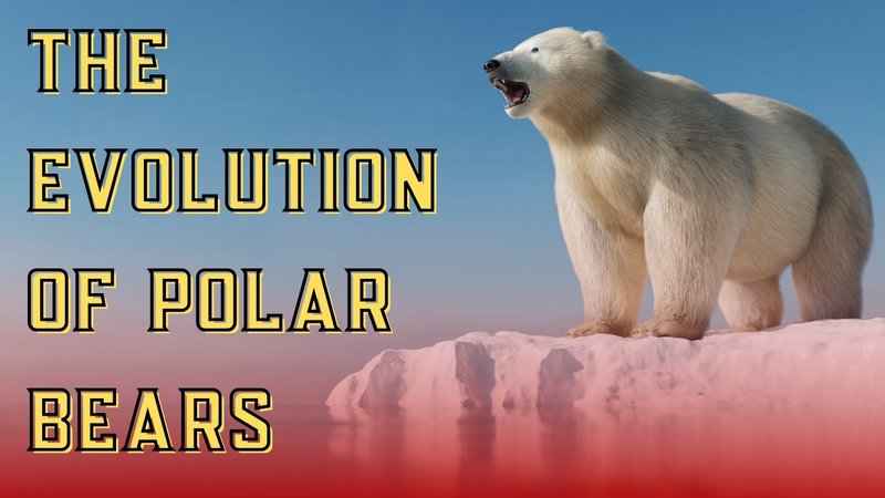 The Evolutionary History Of The Polar Bear