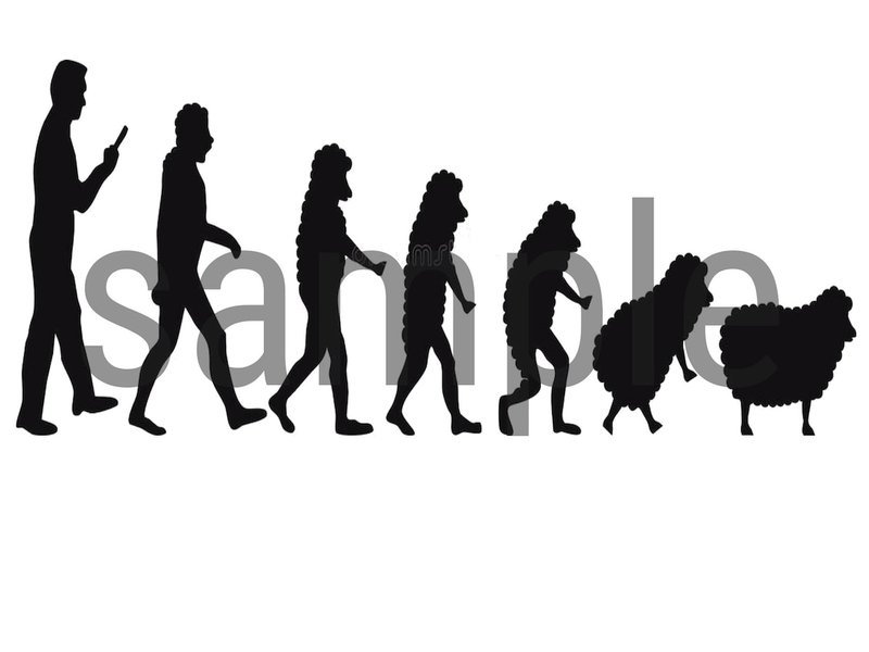 The Evolutionary History Of The Sheep