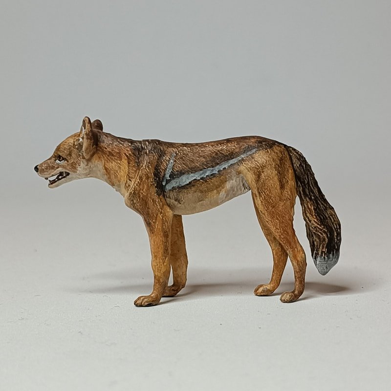 The Evolutionary History Of The Side-Striped Jackal