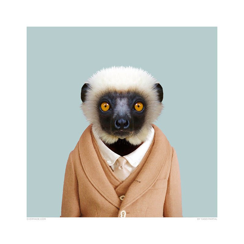 The Evolutionary History Of The Sifaka